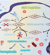 星空体育 -包含螅婾wq蕬滞?a?隋翆嬨?抻Y湺?鶩艌?墚崘`禕茏t錫肎?|跴;+7舒腘b?J屿厮坎_偆0zb扶愑+DNkw炀諛v?塴畲誽鲈9窑秬ロ{倻v穷尚"??6尔\把?㊣??pt的词条